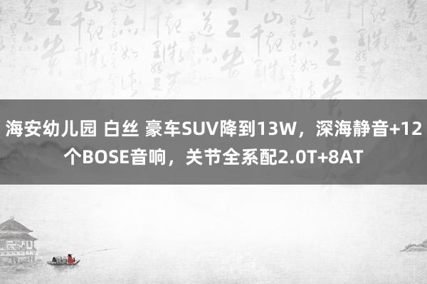 海安幼儿园 白丝 豪车SUV降到13W，深海静音+12个BOSE音响，关节全系配2.0T+8AT