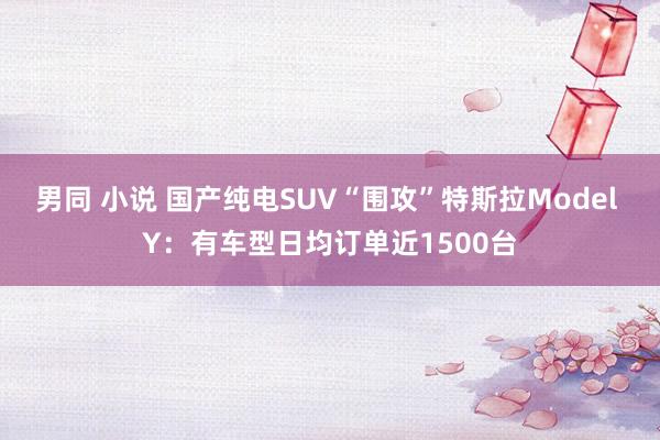 男同 小说 国产纯电SUV“围攻”特斯拉Model Y：有车型日均订单近1500台