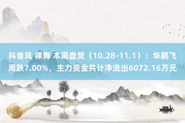 抖音风 裸舞 本周盘货（10.28-11.1）：华鹏飞周跌7.00%，主力资金共计净流出6072.16万元