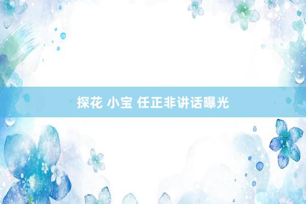 探花 小宝 任正非讲话曝光