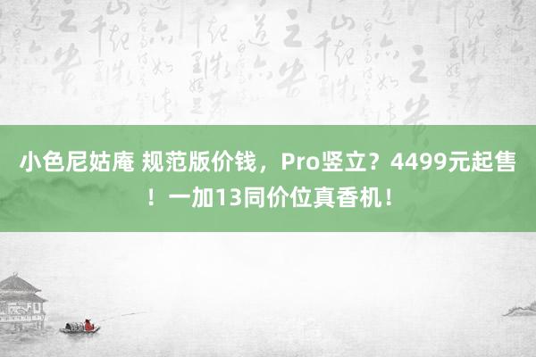 小色尼姑庵 规范版价钱，Pro竖立？4499元起售！一加13同价位真香机！