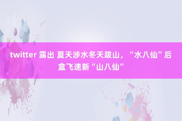 twitter 露出 夏天涉水冬天跋山，“水八仙”后盒飞速新“山八仙”