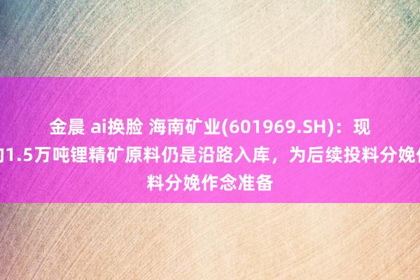 金晨 ai换脸 海南矿业(601969.SH)：现在入口的1.5万吨锂精矿原料仍是沿路入库，为后续投料分娩作念准备