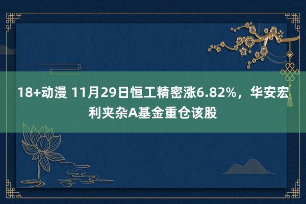 18+动漫 11月29日恒工精密涨6.82%，华安宏利夹杂A基金重仓该股