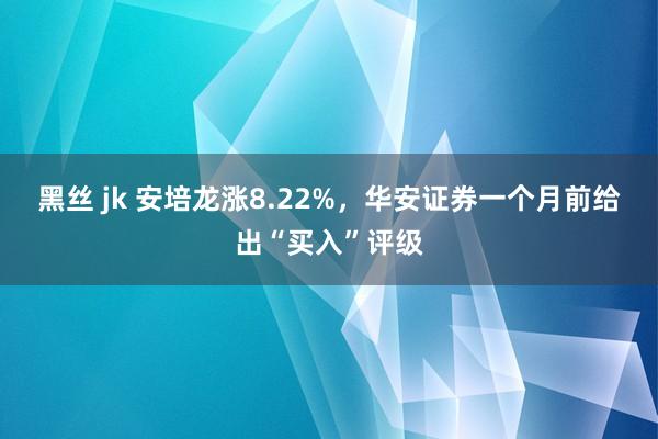 黑丝 jk 安培龙涨8.22%，华安证券一个月前给出“买入”评级