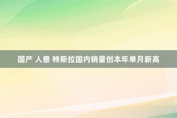 国产 人兽 特斯拉国内销量创本年单月新高