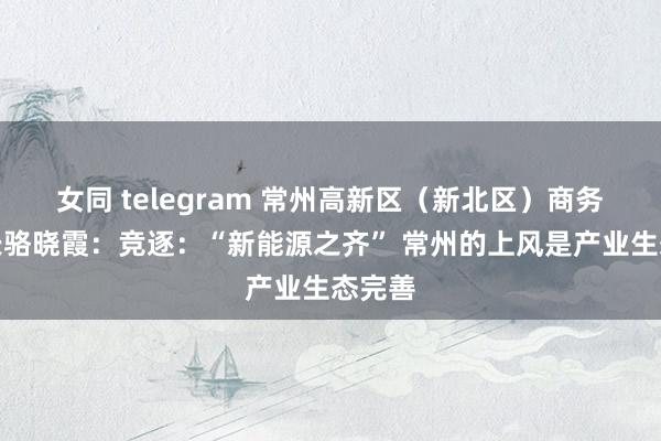 女同 telegram 常州高新区（新北区）商务局局长骆晓霞：竞逐：“新能源之齐” 常州的上风是产业生态完善