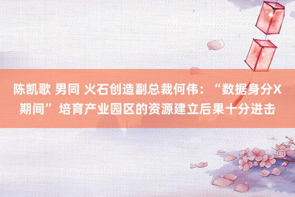 陈凯歌 男同 火石创造副总裁何伟：“数据身分X期间” 培育产业园区的资源建立后果十分进击