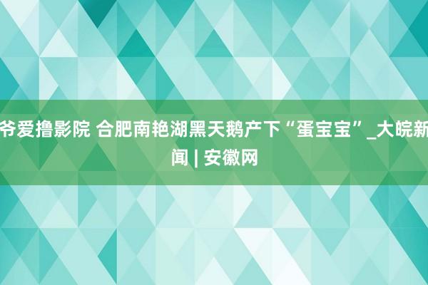 爷爱撸影院 合肥南艳湖黑天鹅产下“蛋宝宝”_大皖新闻 | 安徽网