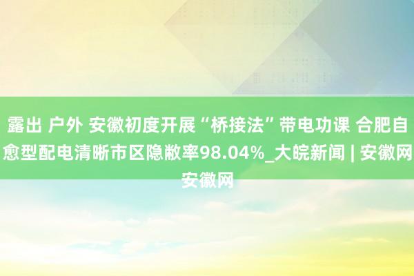 露出 户外 安徽初度开展“桥接法”带电功课 合肥自愈型配电清晰市区隐敝率98.04%_大皖新闻 | 安徽网