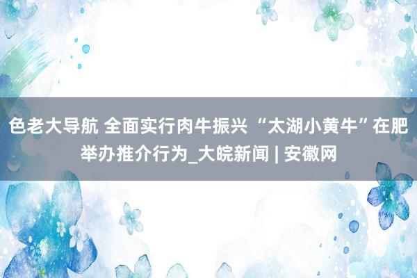 色老大导航 全面实行肉牛振兴 “太湖小黄牛”在肥举办推介行为_大皖新闻 | 安徽网