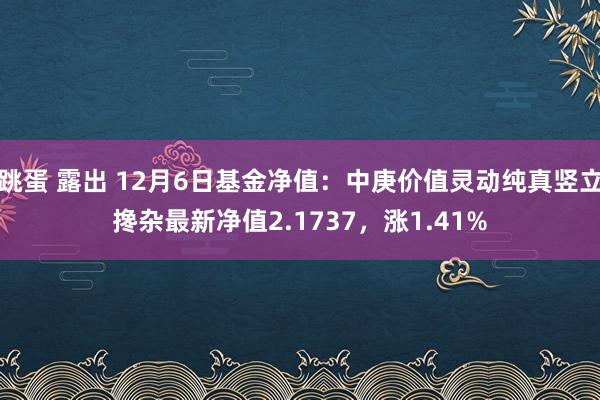 跳蛋 露出 12月6日基金净值：中庚价值灵动纯真竖立搀杂最新净值2.1737，涨1.41%