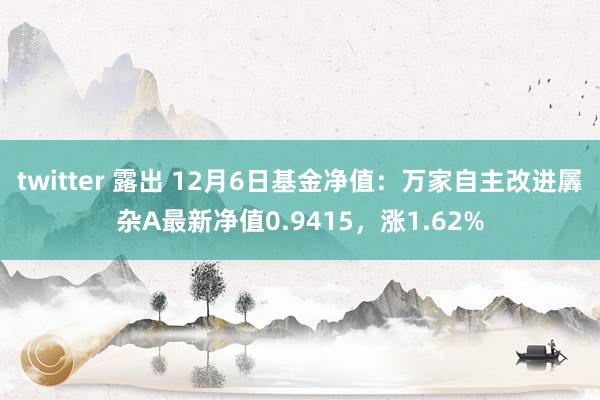 twitter 露出 12月6日基金净值：万家自主改进羼杂A最新净值0.9415，涨1.62%