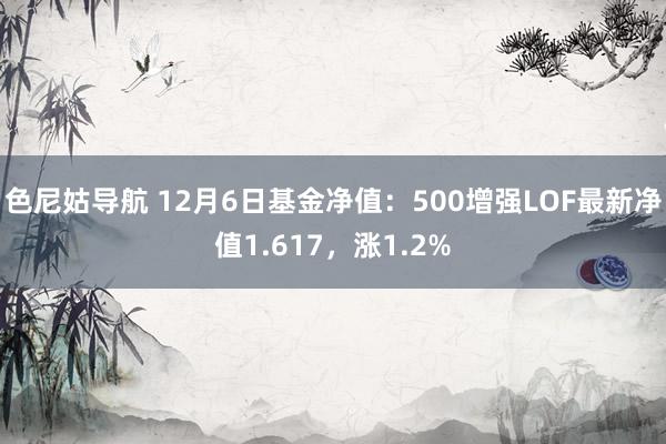 色尼姑导航 12月6日基金净值：500增强LOF最新净值1.617，涨1.2%