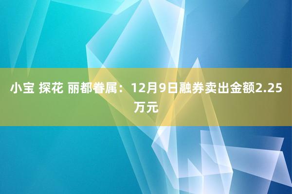 小宝 探花 丽都眷属：12月9日融券卖出金额2.25万元