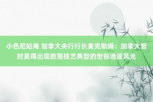 小色尼姑庵 加拿大央行行长麦克勒姆：加拿大暂时莫得出现败落技艺典型的世俗逍遥风光