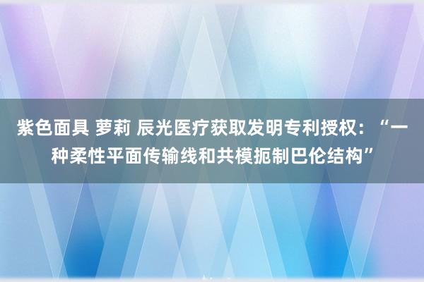 紫色面具 萝莉 辰光医疗获取发明专利授权：“一种柔性平面传输线和共模扼制巴伦结构”