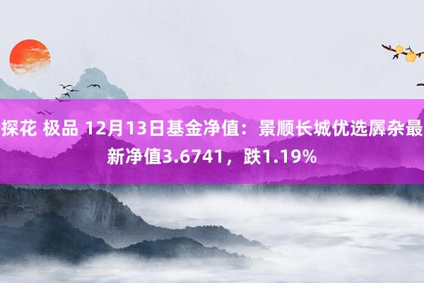 探花 极品 12月13日基金净值：景顺长城优选羼杂最新净值3.6741，跌1.19%