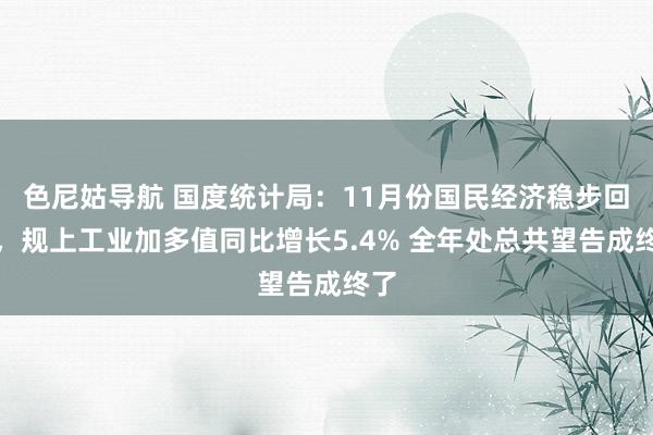 色尼姑导航 国度统计局：11月份国民经济稳步回升，规上工业加多值同比增长5.4% 全年处总共望告成终了