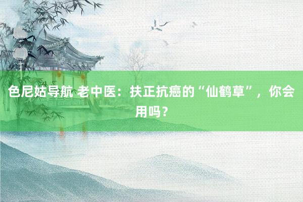 色尼姑导航 老中医：扶正抗癌的“仙鹤草”，你会用吗？