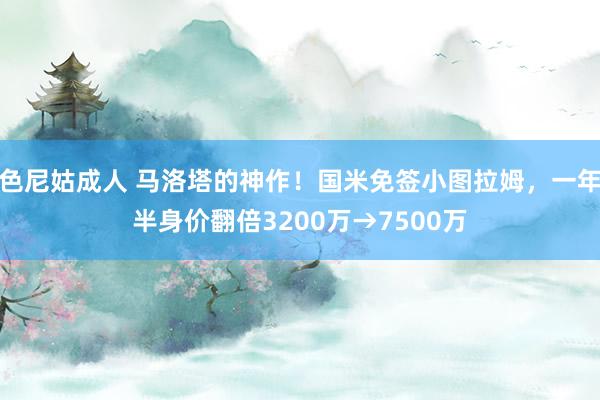 色尼姑成人 马洛塔的神作！国米免签小图拉姆，一年半身价翻倍3200万→7500万