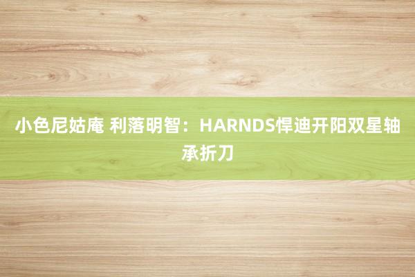 小色尼姑庵 利落明智：HARNDS悍迪开阳双星轴承折刀