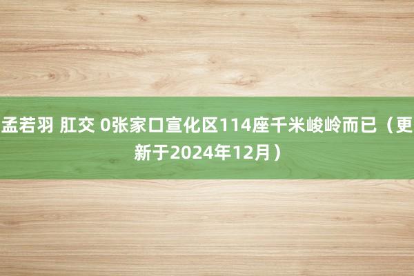 孟若羽 肛交 0张家口宣化区114座千米峻岭而已（更新于2024年12月）