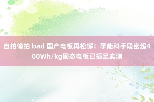 自拍偷拍 bad 国产电板再松懈！孚能科手段密超400Wh/kg固态电板已插足实测