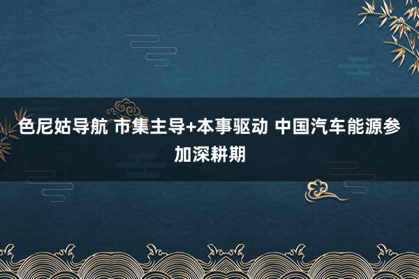 色尼姑导航 市集主导+本事驱动 中国汽车能源参加深耕期