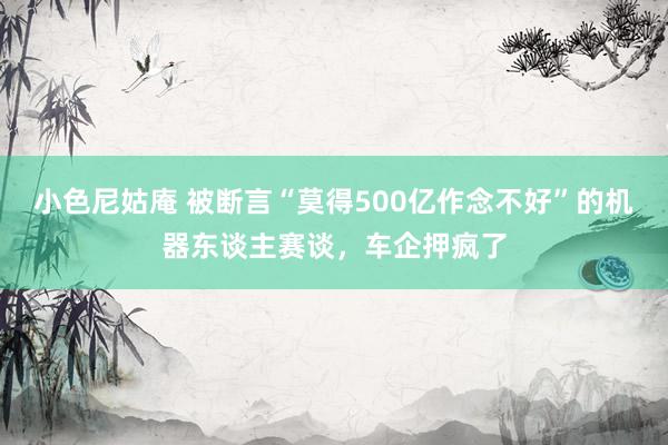 小色尼姑庵 被断言“莫得500亿作念不好”的机器东谈主赛谈，车企押疯了