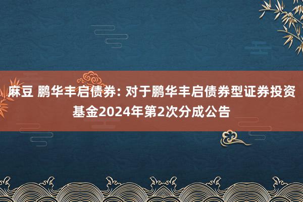 麻豆 鹏华丰启债券: 对于鹏华丰启债券型证券投资基金2024年第2次分成公告