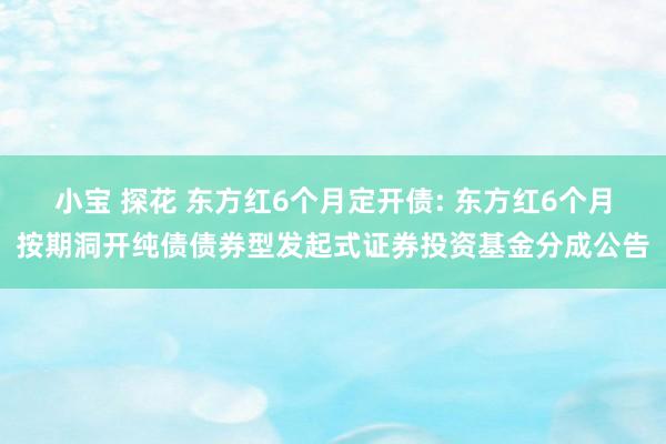 小宝 探花 东方红6个月定开债: 东方红6个月按期洞开纯债债券型发起式证券投资基金分成公告