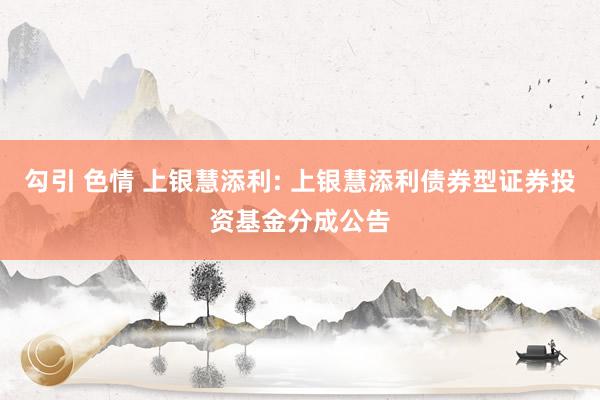 勾引 色情 上银慧添利: 上银慧添利债券型证券投资基金分成公告