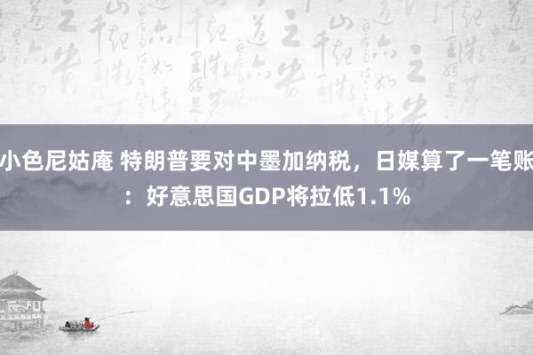 小色尼姑庵 特朗普要对中墨加纳税，日媒算了一笔账：好意思国GDP将拉低1.1%