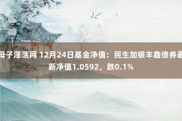 母子淫荡网 12月24日基金净值：民生加银丰鑫债券最新净值1.0592，跌0.1%