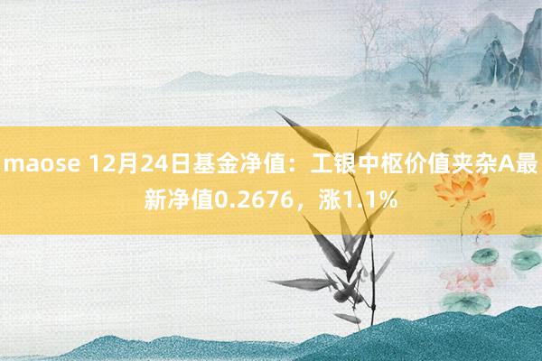 maose 12月24日基金净值：工银中枢价值夹杂A最新净值0.2676，涨1.1%