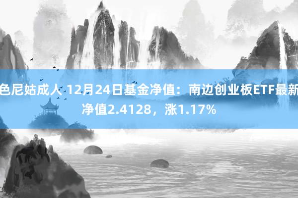 色尼姑成人 12月24日基金净值：南边创业板ETF最新净值2.4128，涨1.17%