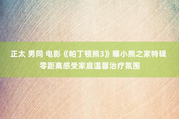 正太 男同 电影《帕丁顿熊3》曝小熊之家特辑 零距离感受家庭温馨治疗氛围