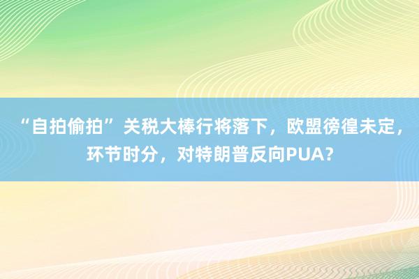 “自拍偷拍” 关税大棒行将落下，欧盟徬徨未定，环节时分，对特朗普反向PUA？