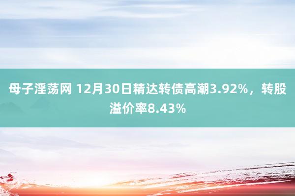 母子淫荡网 12月30日精达转债高潮3.92%，转股溢价率8.43%