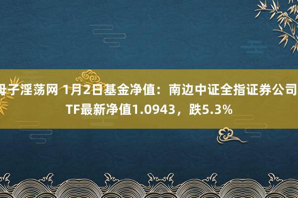 母子淫荡网 1月2日基金净值：南边中证全指证券公司ETF最新净值1.0943，跌5.3%