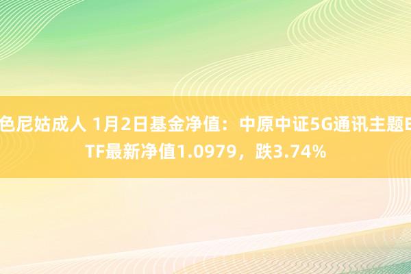 色尼姑成人 1月2日基金净值：中原中证5G通讯主题ETF最新净值1.0979，跌3.74%