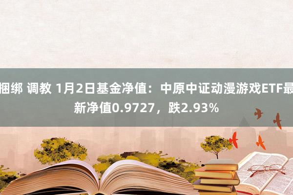 捆绑 调教 1月2日基金净值：中原中证动漫游戏ETF最新净值0.9727，跌2.93%