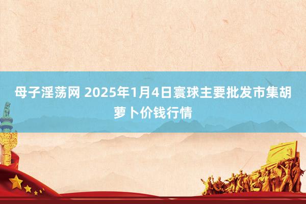 母子淫荡网 2025年1月4日寰球主要批发市集胡萝卜价钱行情