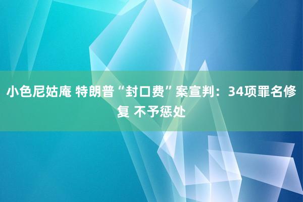 小色尼姑庵 特朗普“封口费”案宣判：34项罪名修复 不予惩处