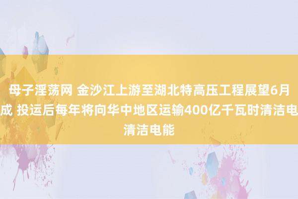 母子淫荡网 金沙江上游至湖北特高压工程展望6月建成 投运后每年将向华中地区运输400亿千瓦时清洁电能