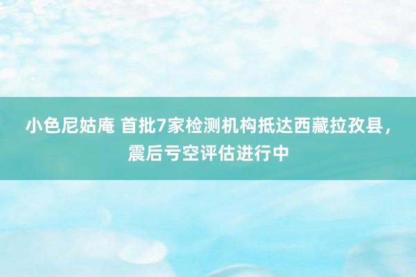 小色尼姑庵 首批7家检测机构抵达西藏拉孜县，震后亏空评估进行中