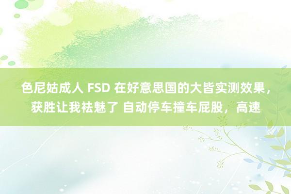 色尼姑成人 FSD 在好意思国的大皆实测效果，获胜让我袪魅了 自动停车撞车屁股，高速